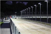 night_test_race_Greyhound_Park_Motol_IMG_8719.JPG