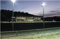 night_test_race_Greyhound_Park_Motol_IMG_8745.jpg