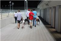 night_test_race_Greyhound_Park_Motol_IMG_8763.JPG