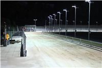 night_test_race_Greyhound_Park_Motol_IMG_8765.JPG