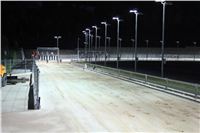 night_test_race_Greyhound_Park_Motol_IMG_8773.JPG