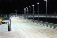 night_test_race_Greyhound_Park_Motol_IMG_8775.JPG