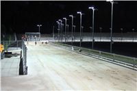 night_test_race_Greyhound_Park_Motol_IMG_8775.JPG