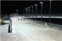 night_test_race_Greyhound_Park_Motol_IMG_8777.JPG