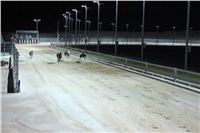 night_test_race_Greyhound_Park_Motol_IMG_8779.JPG