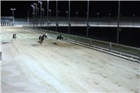 night_test_race_Greyhound_Park_Motol_IMG_8780.JPG