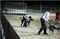 night_test_race_Greyhound_Park_Motol_IMG_8818.JPG