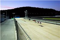 Greyhound_Park_Motol_Prague_osvetleni_CGDF_DSC_8020.jpg