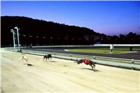 Greyhound_Park_Motol_Prague_osvetleni_CGDF_DSC_8022.jpg