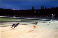 Greyhound_Park_Motol_Prague_osvetleni_CGDF_DSC_8027.jpg