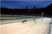 Greyhound_Park_Motol_Prague_osvetleni_CGDF_DSC_8028.jpg