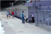Greyhound_Park_Motol_Prague_osvetleni_CGDF_DSC_8046.jpg