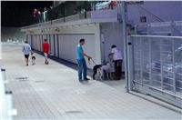 Greyhound_Park_Motol_Prague_osvetleni_CGDF_DSC_8046.jpg