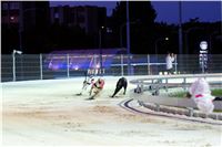 Greyhound_Park_Motol_Prague_osvetleni_CGDF_DSC_8056.jpg