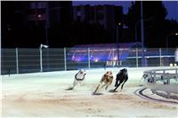 Greyhound_Park_Motol_Prague_osvetleni_CGDF_DSC_8058.jpg