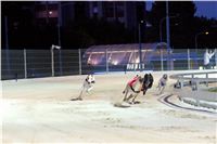 Greyhound_Park_Motol_Prague_osvetleni_CGDF_DSC_8059.jpg