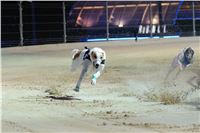 Greyhound_Park_Motol_Praha_osvetleni_CGDF_DSC_8061.jpg