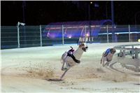 Greyhound_Park_Motol_Praha_osvetleni_CGDF_DSC_8062.jpg