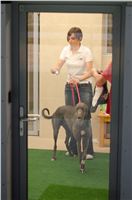 Greyhound_Park_Motol_Praha_osvetleni_CGDF_DSC_8085.jpg