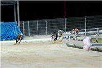 Greyhound_Park_Motol_Praha_osvetleni_CGDF_DSC_8108.jpg