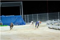 Greyhound_Park_Motol_Praha_osvetleni_CGDF_DSC_8109.jpg