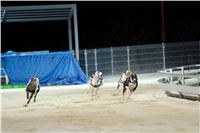 Greyhound_Park_Motol_Praha_osvetleni_CGDF_DSC_8110.jpg