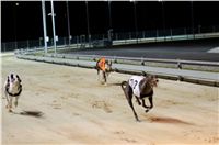 Greyhound_Park_Motol_Praha_osvetleni_CGDF_DSC_8115.jpg