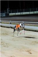 Greyhound_Park_Motol_Praha_osvetleni_CGDF_DSC_8116.jpg