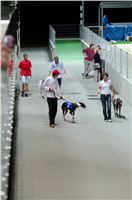 Greyhound_Park_Motol_Praha_osvetleni_CGDF_DSC_8133.jpg