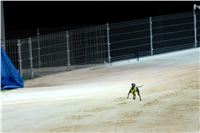 night_test_race_Greyhound_Park_Motol_DSC_8154.jpg