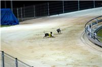 night_test_race_Greyhound_Park_Motol_DSC_8157.jpg