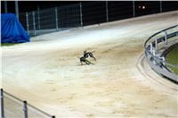 night_test_race_Greyhound_Park_Motol_DSC_8158.jpg
