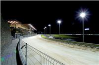 night_test_race_Greyhound_Park_Motol_DSC_8167.jpg