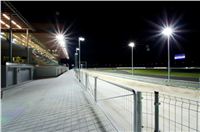 night_test_race_Greyhound_Park_Motol_DSC_8176.jpg