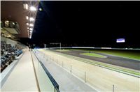 night_test_race_Greyhound_Park_Motol_DSC_8180.jpg