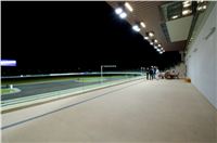 night_test_race_Greyhound_Park_Motol_DSC_8183.jpg