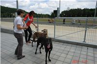 Greyhound_Park_Motol_Prazske_multifunkcni_centrum_sportu_DSC09067.JPG