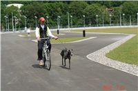 Greyhound_Park_Motol_Prazske_multifunkcni_centrum_sportu_DSC09112.JPG Greyhound_Park_Motol_Prazske_multifunkcni_centrum_sportu_DSC09112.jpg