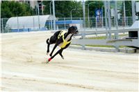 Greyhound_Park_Motol_Prazske_multifunkcni_centrum_sportu_DSC_8212.jpg