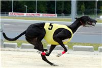 Greyhound_Park_Motol_Prazske_multifunkcni_centrum_sportu_DSC_8214.jpg