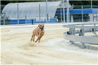 Greyhound_Park_Motol_Prazske_multifunkcni_centrum_sportu_DSC_8226.jpg