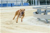 Greyhound_Park_Motol_Prazske_multifunkcni_centrum_sportu_DSC_8227.jpg