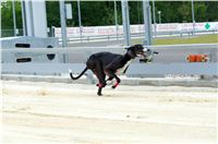 Greyhound_Park_Motol_Prazske_multifunkcni_centrum_sportu_DSC_8244.jpg