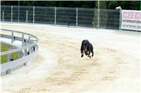 Greyhound_Park_Motol_Prazske_multifunkcni_centrum_sportu_DSC_8267.jpg