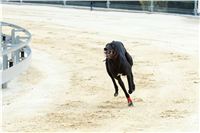 Greyhound_Park_Motol_Prazske_multifunkcni_centrum_sportu_DSC_8268.jpg