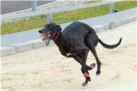 Greyhound_Park_Motol_Prazske_multifunkcni_centrum_sportu_DSC_8272.jpg