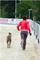 Greyhound_Park_Motol_Prazske_multifunkcni_centrum_sportu_DSC_8283.jpg