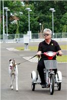 Greyhound_Park_Motol_Prazske_multifunkcni_centrum_sportu_DSC_8304.jpg