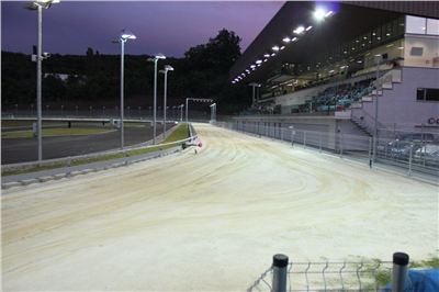 night_test_race_Greyhound_Park_Motol_IMG_8659.JPG