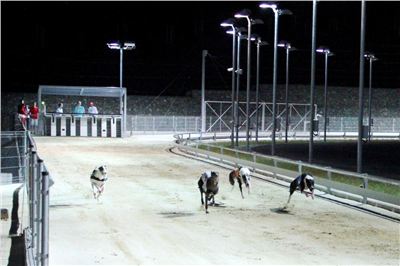 night_test_race_Greyhound_Park_Motol_IMG_8779-v.JPG